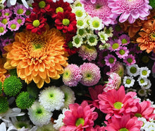 Load image into Gallery viewer, Lush mixed Bouquet
