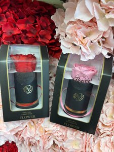 Single preserved rose